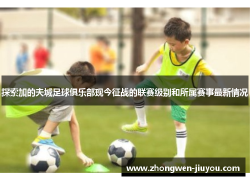 探索加的夫城足球俱乐部现今征战的联赛级别和所属赛事最新情况