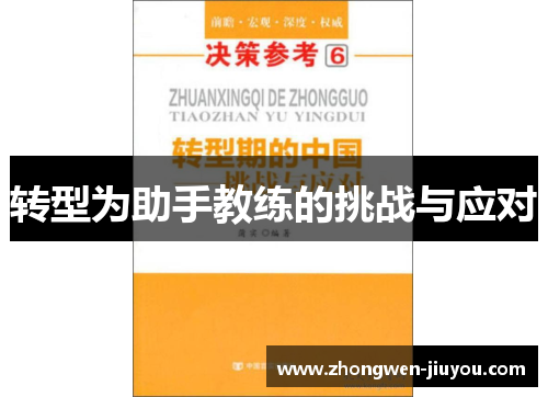 转型为助手教练的挑战与应对