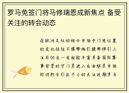 罗马免签门将马修瑞恩成新焦点 备受关注的转会动态